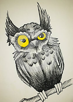 Owl, owl black pen drawing, owl illustration. On A White Background, Isolated
