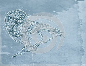 Owl, a panther Series of realistic animals for postcards with vintage background,doga swan in the lak
