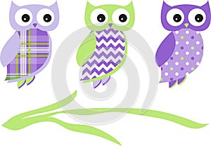 Owl Pattern Pack Vector Green Purple