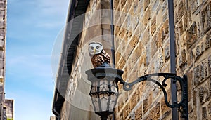 An owl perched on a wrought-iron streetlamp in a Victorian-era cobblestone alleyway.