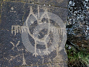 Owl Petroglyph