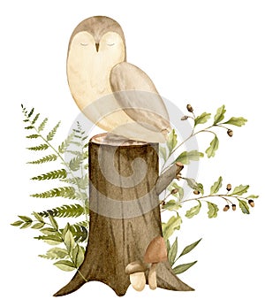 Owl with plants and stump in a forest. Hand drawn watercolor illustration of Bird for Baby Shower on white isolated