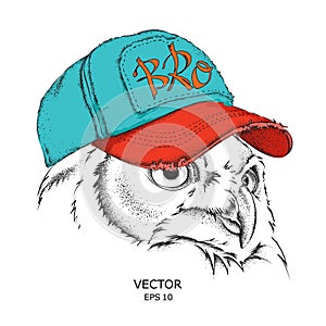 The owl portrait in hip-hop hat. Vector illustration.