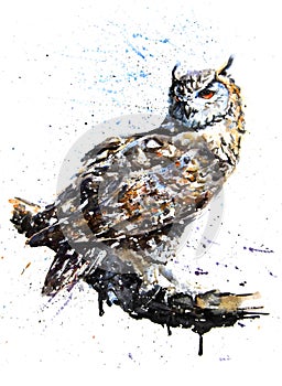 Owl predator watercolor painting drawing