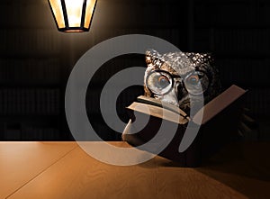 Owl reading a book in a dark room with lamp light