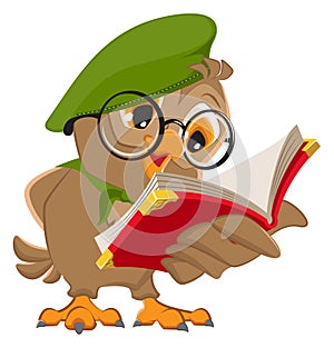 Owl reading book scout