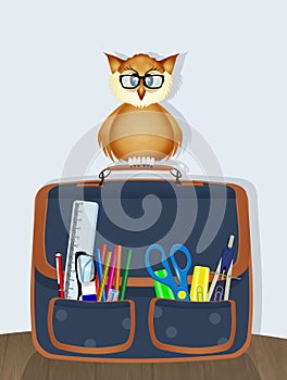 Owl on school satchel
