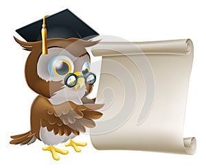 Owl With Scroll Document