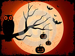 Owl sitting on tree in Halloween Night