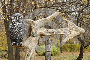 Owl sitting on a tree. Owl sitting on a branch with a pointer. The arrow shows the direction of movement to the right.