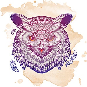 Owl sketch isolated on grunge background