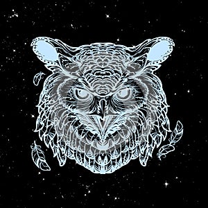 Owl sketch on a nightsky background