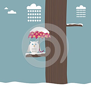 Owl with snowy umbrella