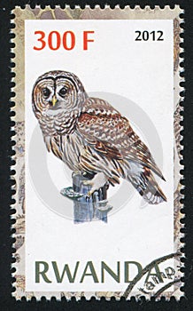 Owl stamp printed by Rwanda