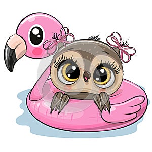 Owl in swimming on pool ring inflatable flamingo