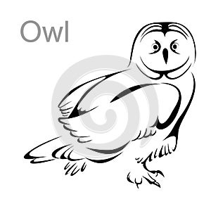 Owl tattoo, owl image, outline, vector illustration