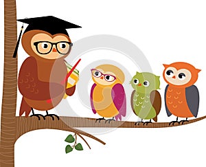 Owl teacher and his students
