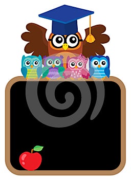 Owl teacher and owlets theme image 8