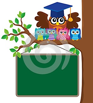 Owl teacher and owlets theme image 3