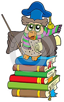 Owl teacher with parchment on books