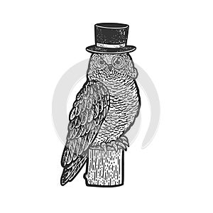 Owl in top cylinder hat sketch vector illustration