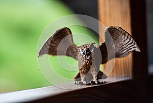 Owl toy figure sitting on a wooden bar