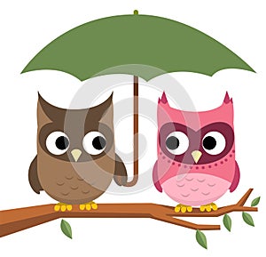 Owl umbrella