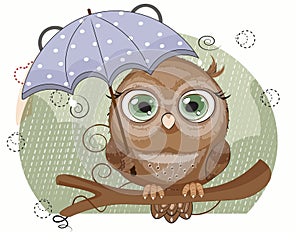 Owl with umbrella under rain