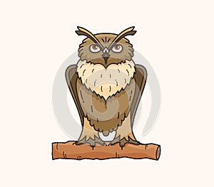 Owl vector drawing illustration