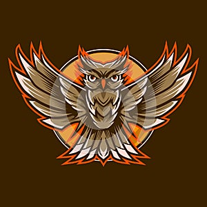Owl vector illustration design on dark background