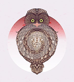 Owl - vector illustration. Icon design