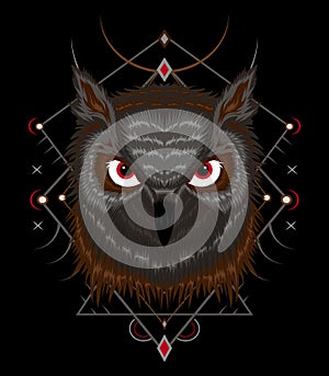 Owl vector. Illustration of owl