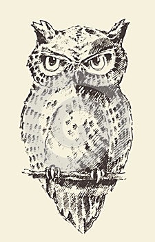 Owl vintage illustration retro hand drawn sketch
