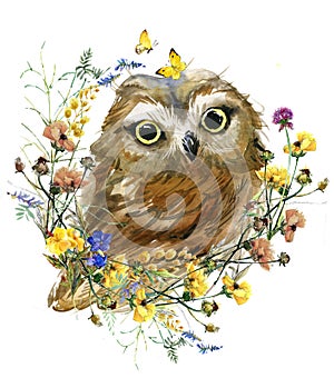 Owl Watercolor illystration. forest wildlife. Cartoon woodland animal.