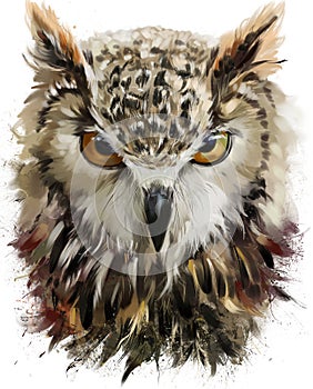 Owl watercolor painting photo