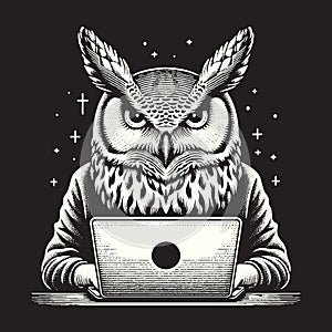 Wise Owl Working on Laptop Computer at Night