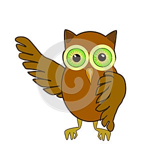 Owl