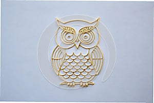 owl white background photo