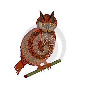 An owl on a white background