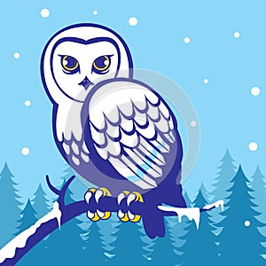 Owl in the winter season