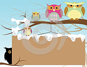 Owl in winter template