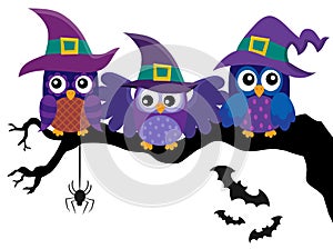 Owl witches theme image 2