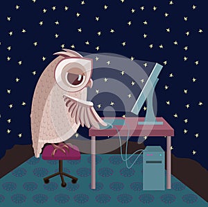Owl working on the computer.