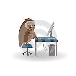 Owl working on the computer.