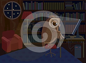 Owl working on the computer.