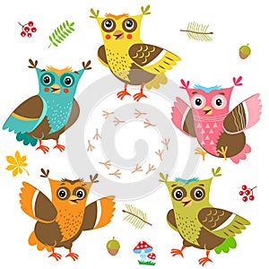 Owlet Baby. Ð¡artoon Owl Character Set. Cut Vector. Funny Owl.