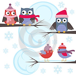 Owls and birds in winter forest