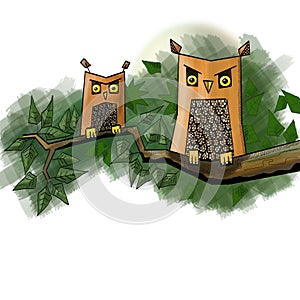Owls on branch