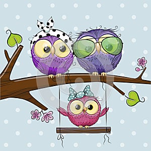 Owls on a branch and a chick on the swings