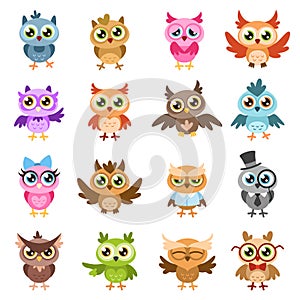 Owls. Color cute wise owl stickers, birthday kids shower funny forest birds with different gestures vector cartoon